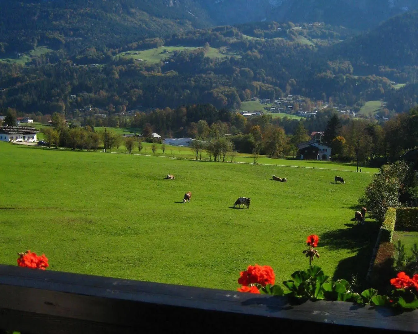 Sporthotel Schoenau Am Koenigssee Hotel